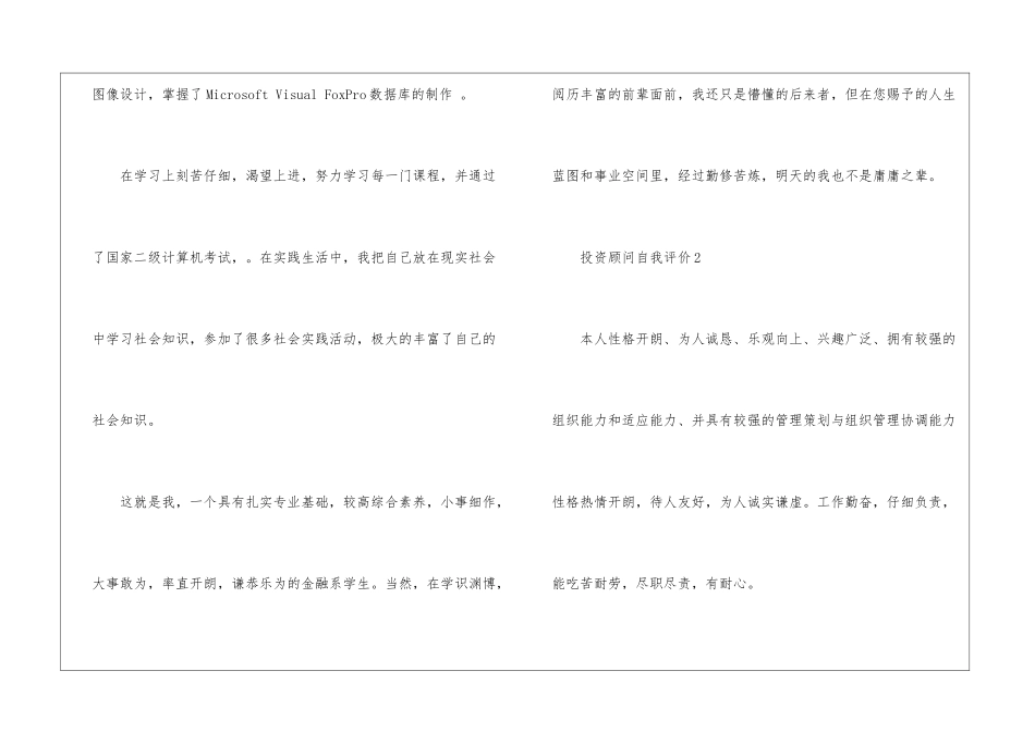 投资顾问自我评价_第2页