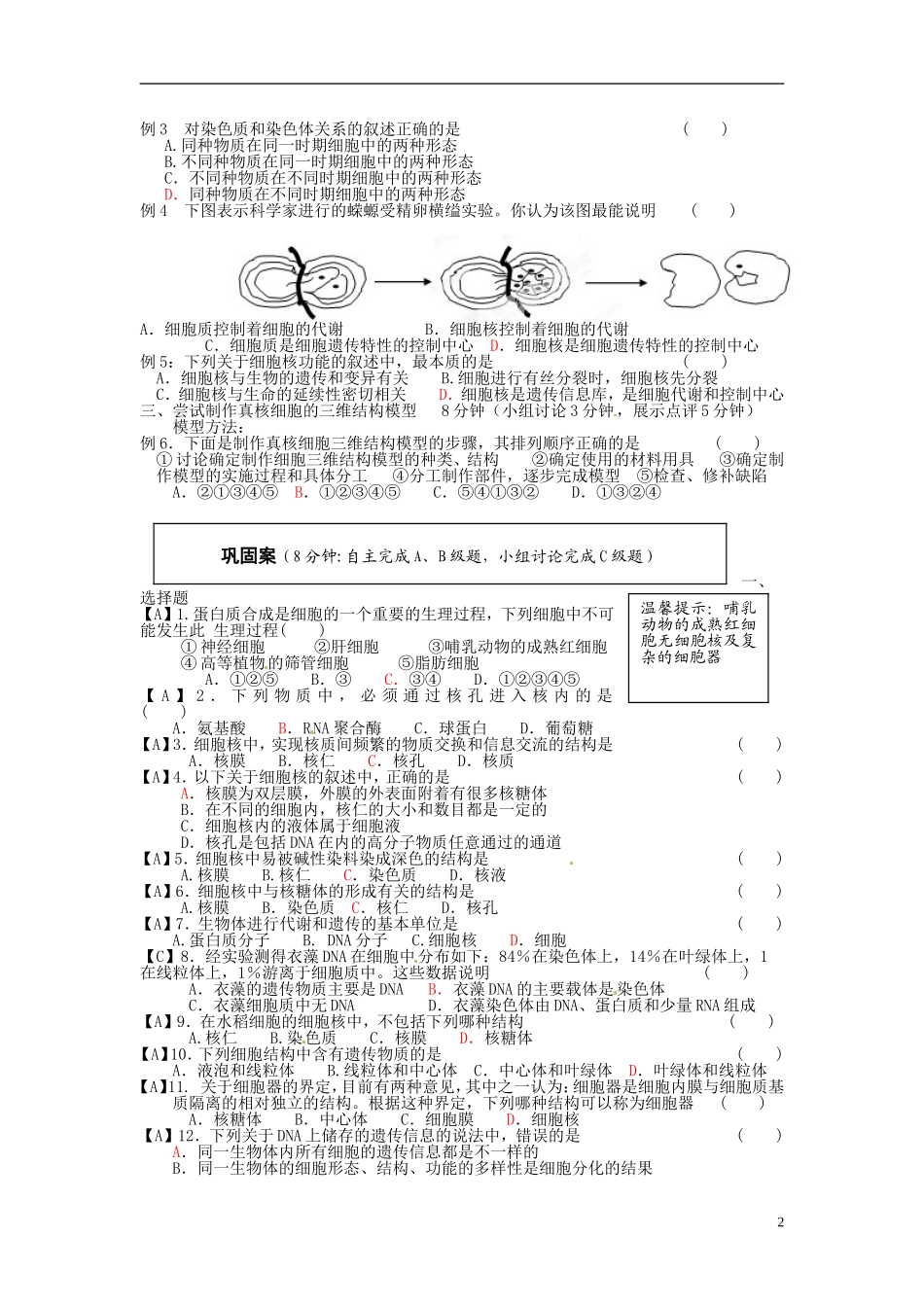 2013-2014高中生物 第三章第三节 细胞核教学案 新人教版必修1_第2页
