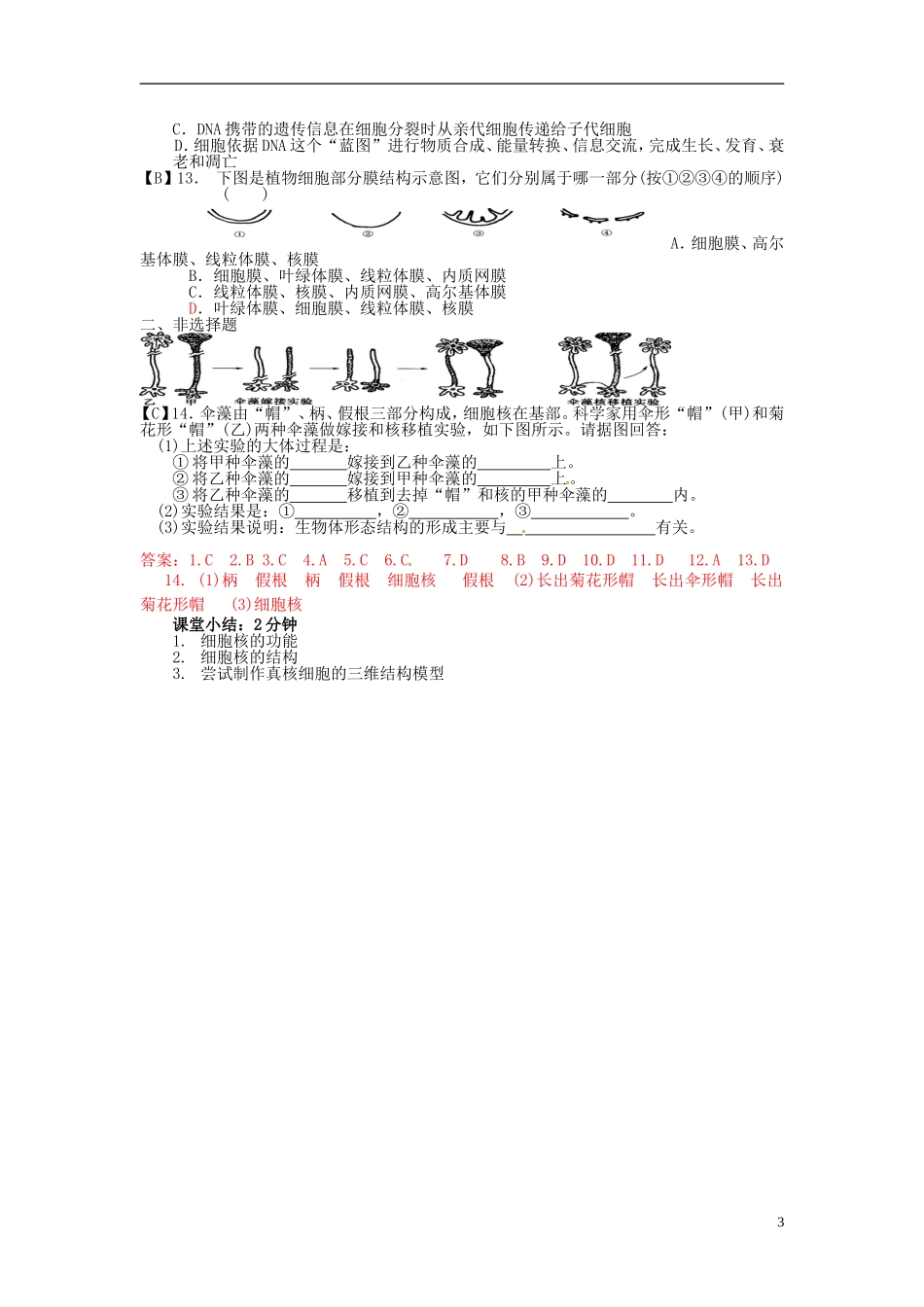 2013-2014高中生物 第三章第三节 细胞核教学案 新人教版必修1_第3页