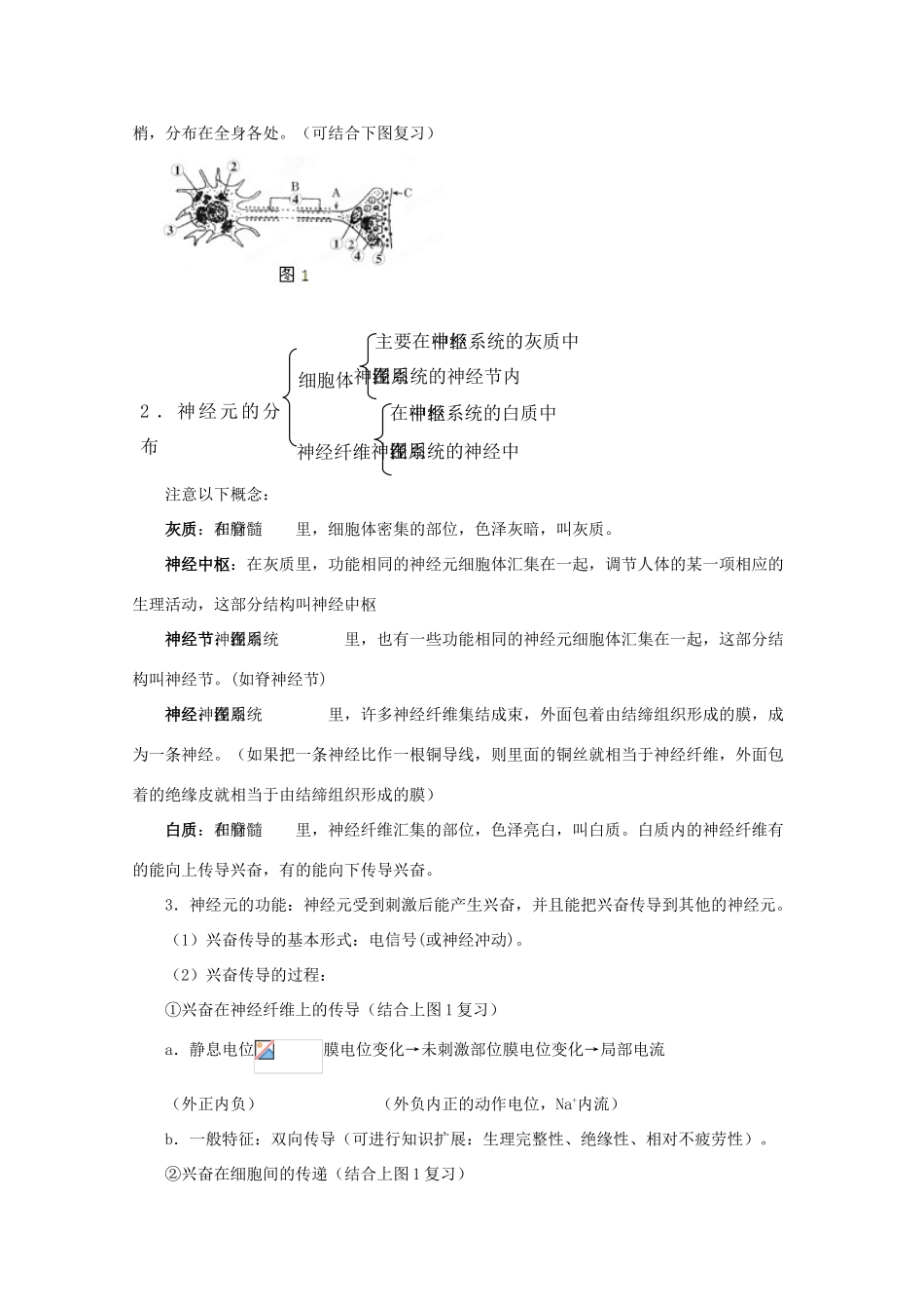 2012高考生物 解题技巧 专题八通过神经系统的调节复习教案_第2页