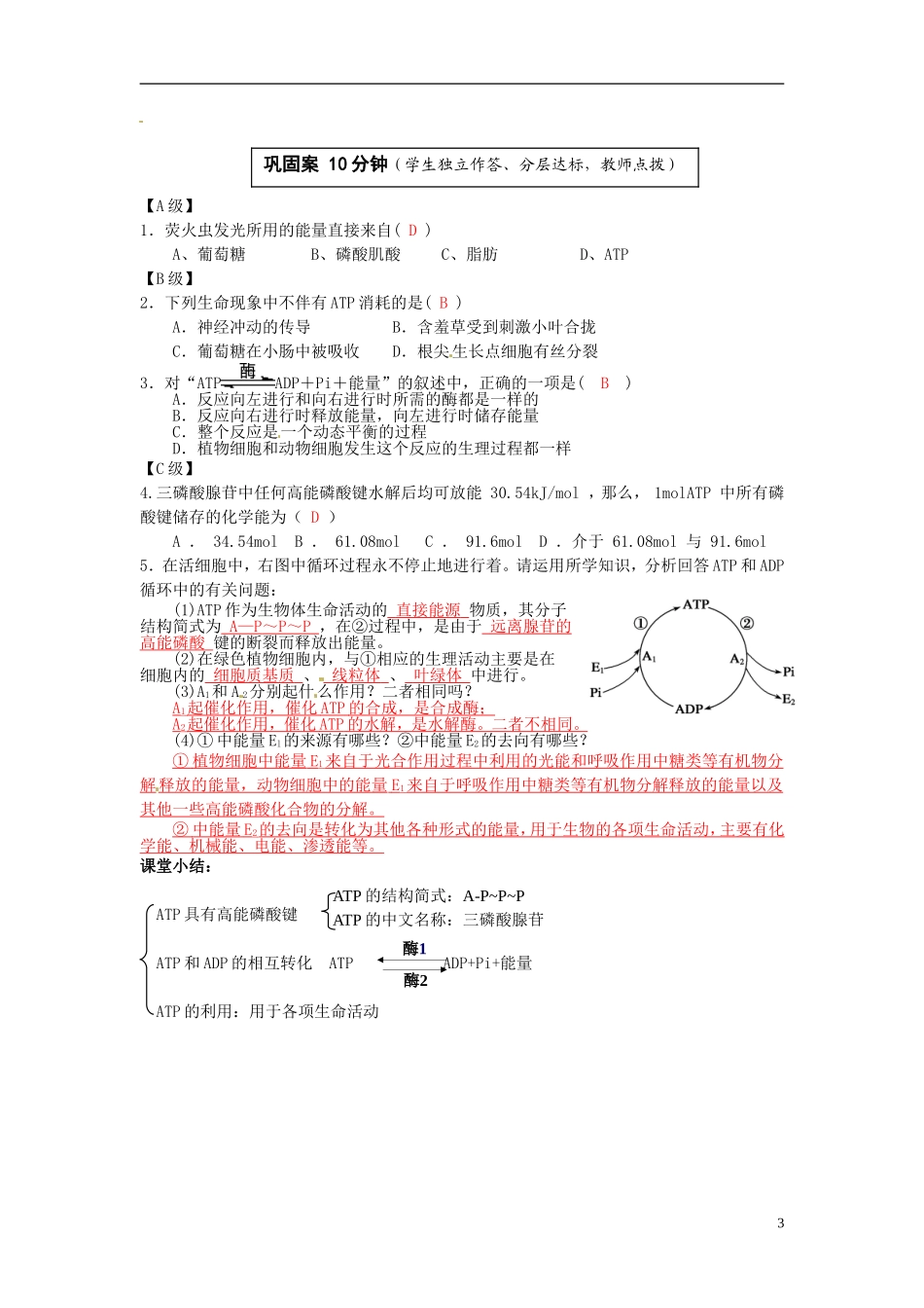 2013-2014高中生物 第五章第二节 细胞内的能量“通货”—ATP教学案 新人教版必修1_第3页