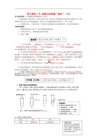 2013-2014高中生物 第五章第二节 细胞内的能量“通货”—ATP教学案 新人教版必修1