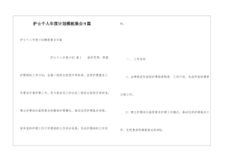 护士个人年度计划模板集合9篇