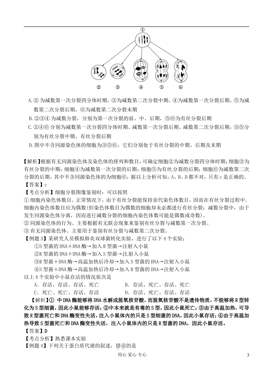 2012高考生物二轮复习 遗传的细胞基础和分子基础学案_第3页