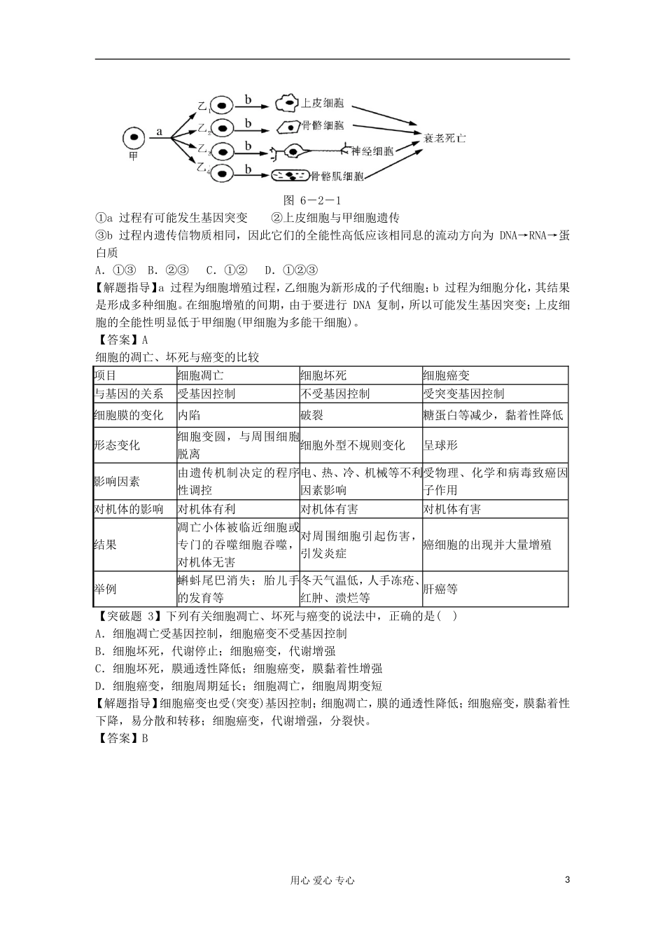 2012高考生物总复习 细胞的分化、衰老、凋亡和癌变（1）精品学案集 必修1_第3页
