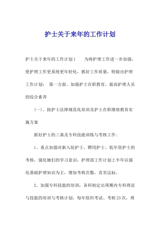 护士关于来年的工作计划