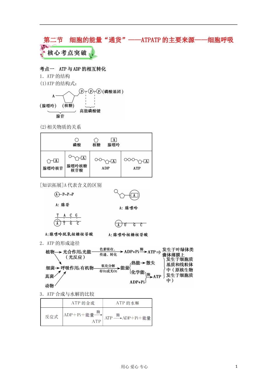 2012高考生物总复习 细胞的能量“通货”——ATP.ATP的主要来源——细胞呼吸（2）精品学案集 必修1_第1页