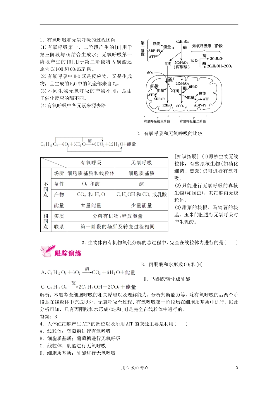 2012高考生物总复习 细胞的能量“通货”——ATP.ATP的主要来源——细胞呼吸（2）精品学案集 必修1_第3页
