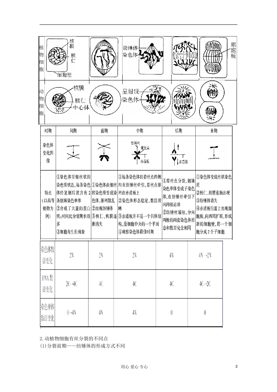2012高考生物总复习 细胞的增殖（1）精品学案集 必修1_第3页