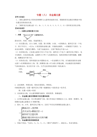2013届高三化学二轮复习全套教学案详解 非金属元素及其化合物