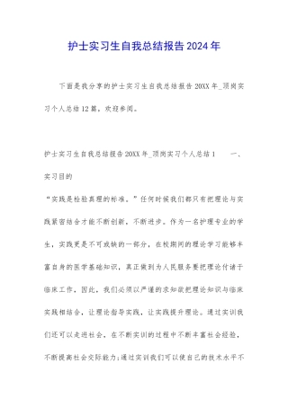 护士实习生自我总结报告2024年