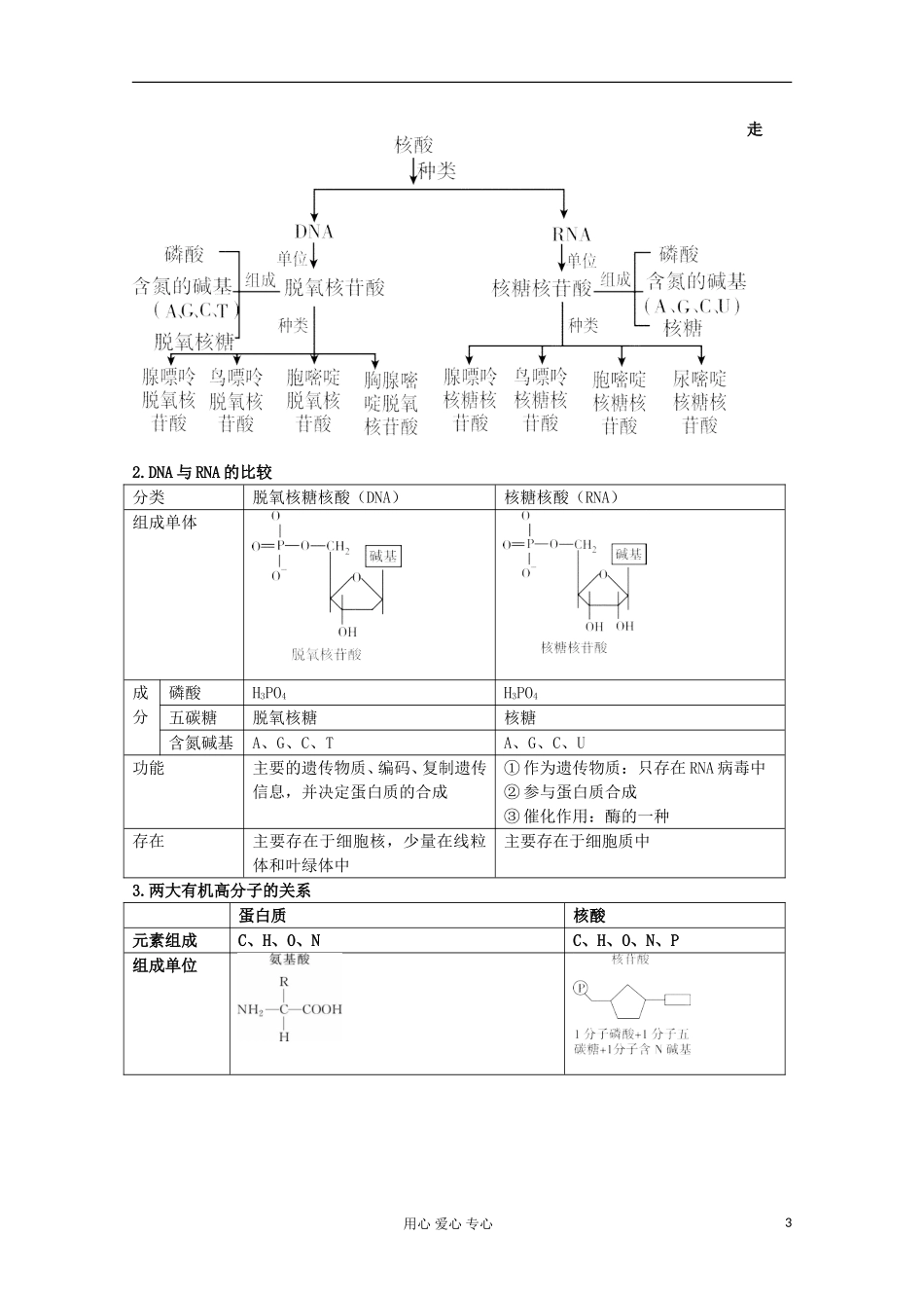 2012高考生物总复习 细胞中的核酸、糖类和脂质（3）精品学案集 必修1_第3页