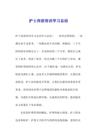 护士岗前培训学习总结