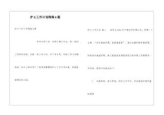 护士工作计划锦集6篇