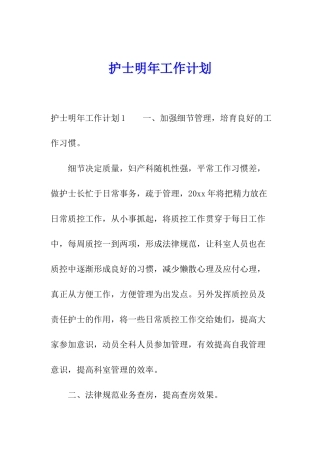 护士明年工作计划