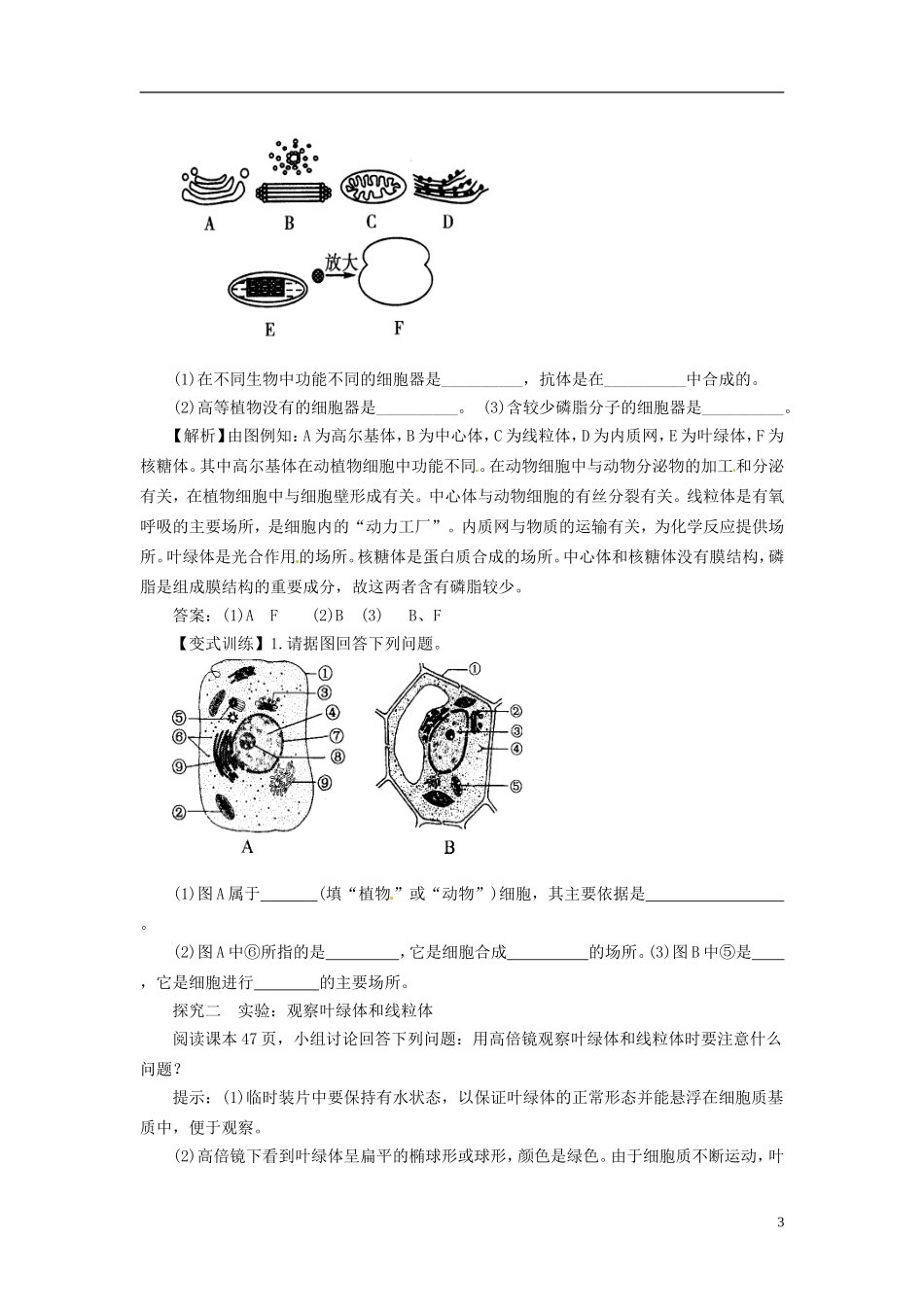 2013-2014学年高中生物 （自主预习+互动探究+课堂自测，含解析）3.2 细胞器 系统内的分工合作学案1 新人教版必修1_第3页