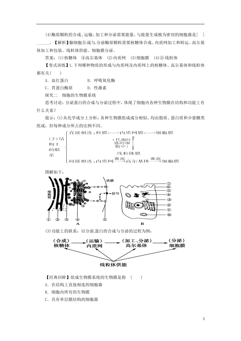 2013-2014学年高中生物 （自主预习+互动探究+课堂自测，含解析）3.2 细胞器 系统内的分工合作学案2 新人教版必修1_第3页
