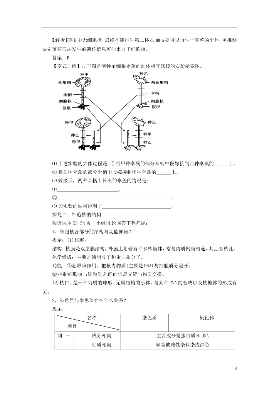 2013-2014学年高中生物 （自主预习+互动探究+课堂自测，含解析）3.3 细胞核 系统的控制中心学案 新人教版必修1_第3页