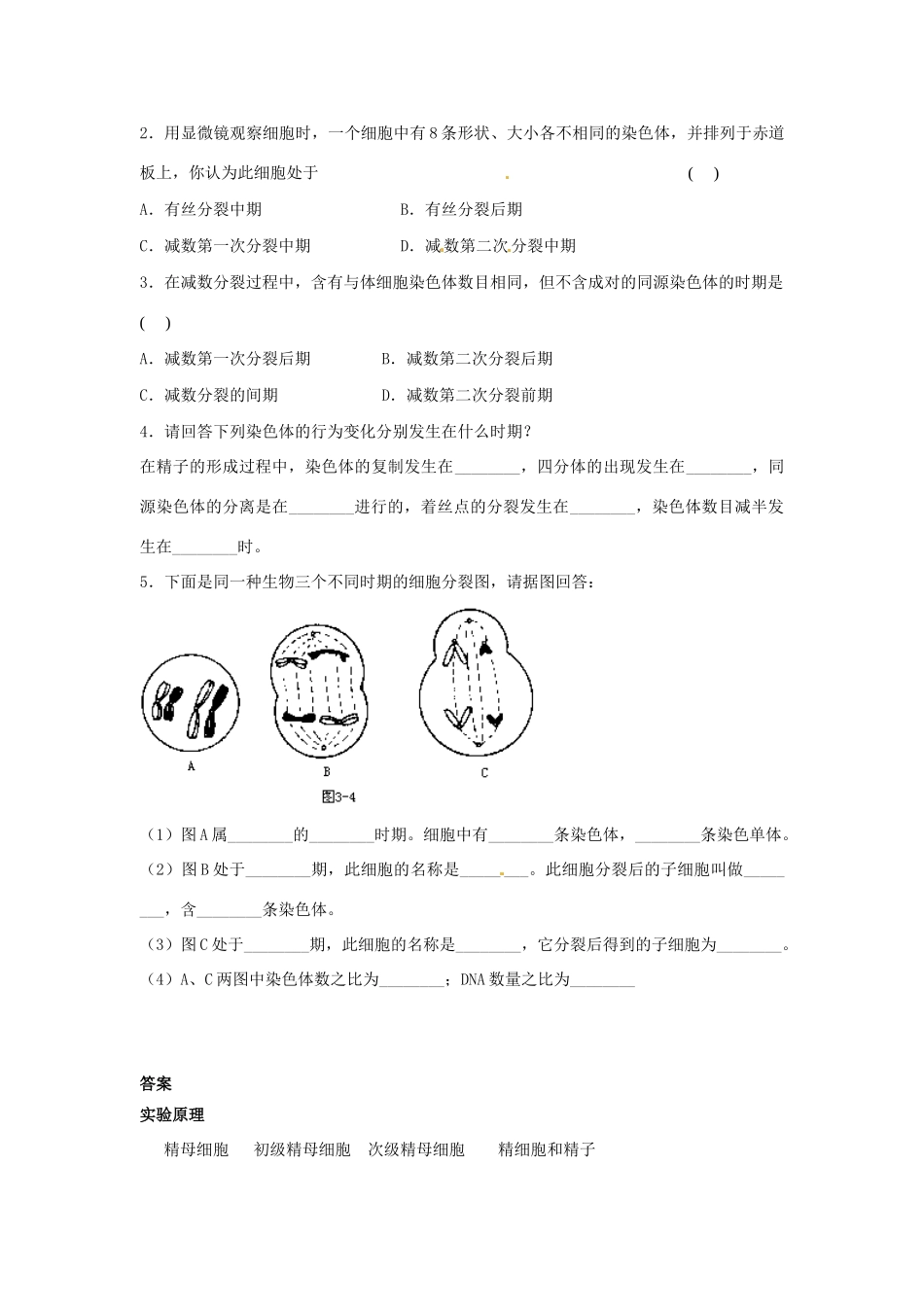 2013-2014学年高中生物 2.1 减数分裂和受精作用（第1课时）素材1 新人教版必修2_第3页