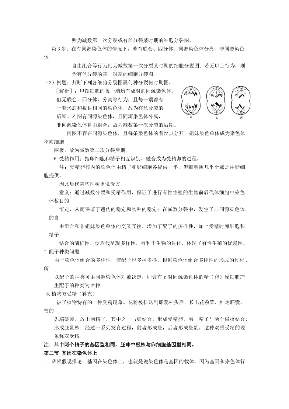 2013-2014学年高中生物 2.1 减数分裂和受精作用（第1课时）素材2 新人教版必修2_第2页