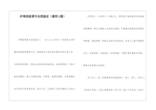 护理层级晋升自我鉴定