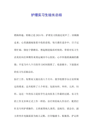 护理实习生组长总结