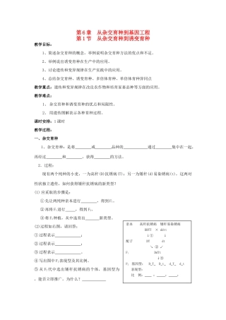 2013-2014学年高一生物下学期 第6章 第1节 从杂交育种到诱变育种2教案 新人教版