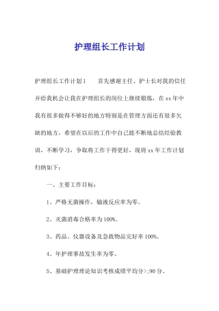 护理组长工作计划
