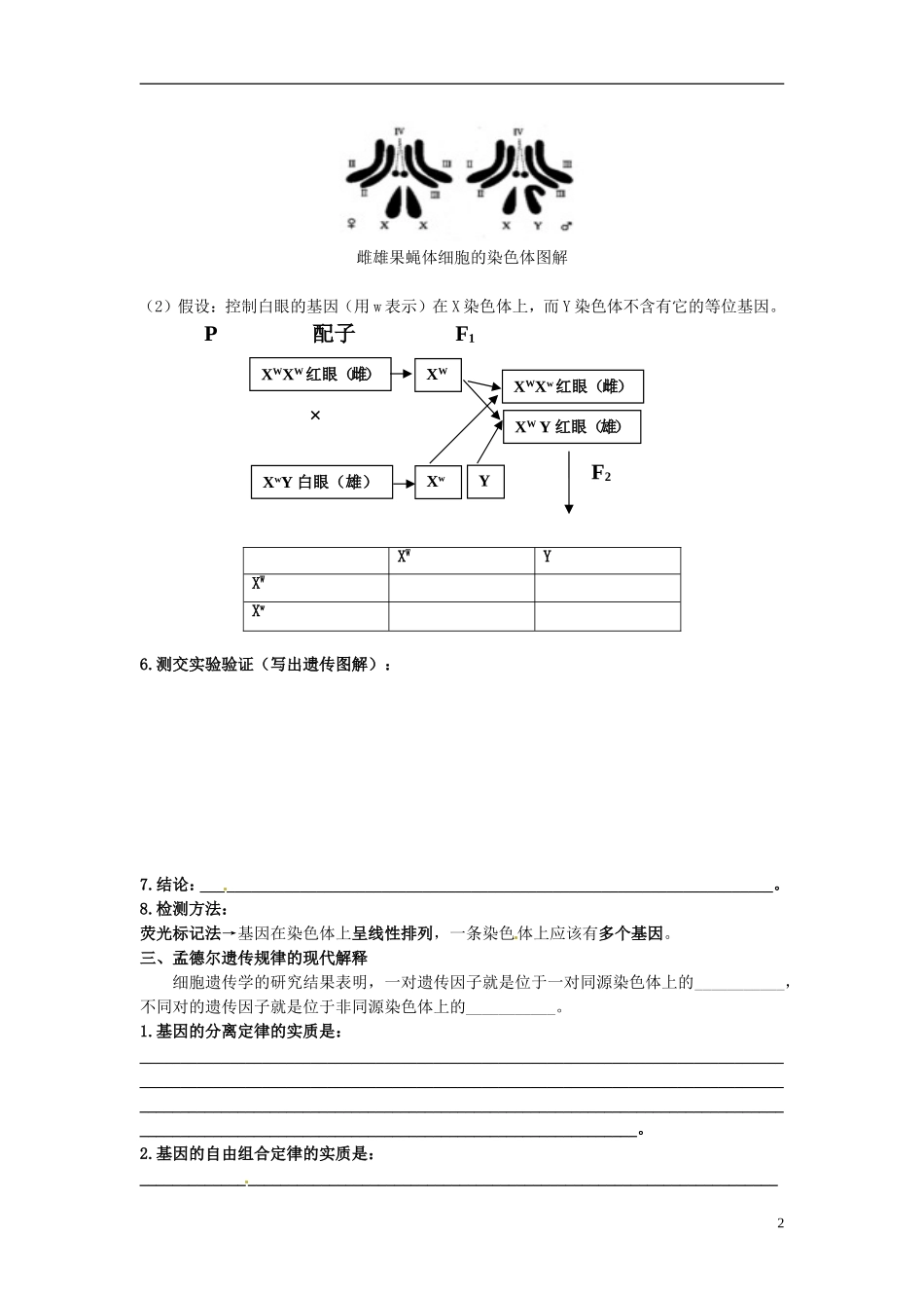2013-2014学年高中生物 2.2 基因位于染色体上学案 新人教版必修2_第2页