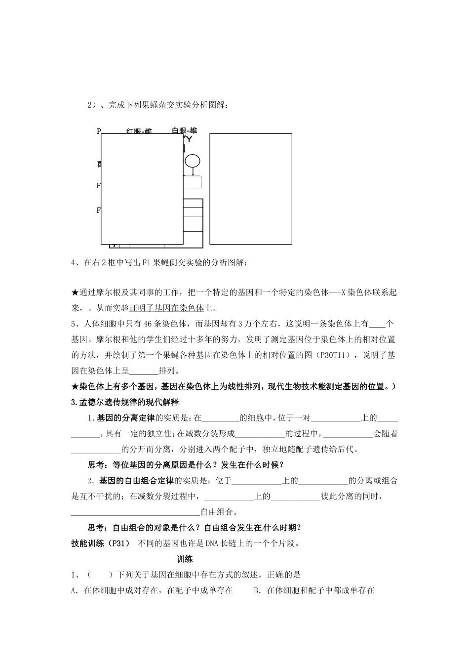 2013-2014学年高一生物下学期 第二章 第二节 基因在染色体上1教案 新人教版_第3页