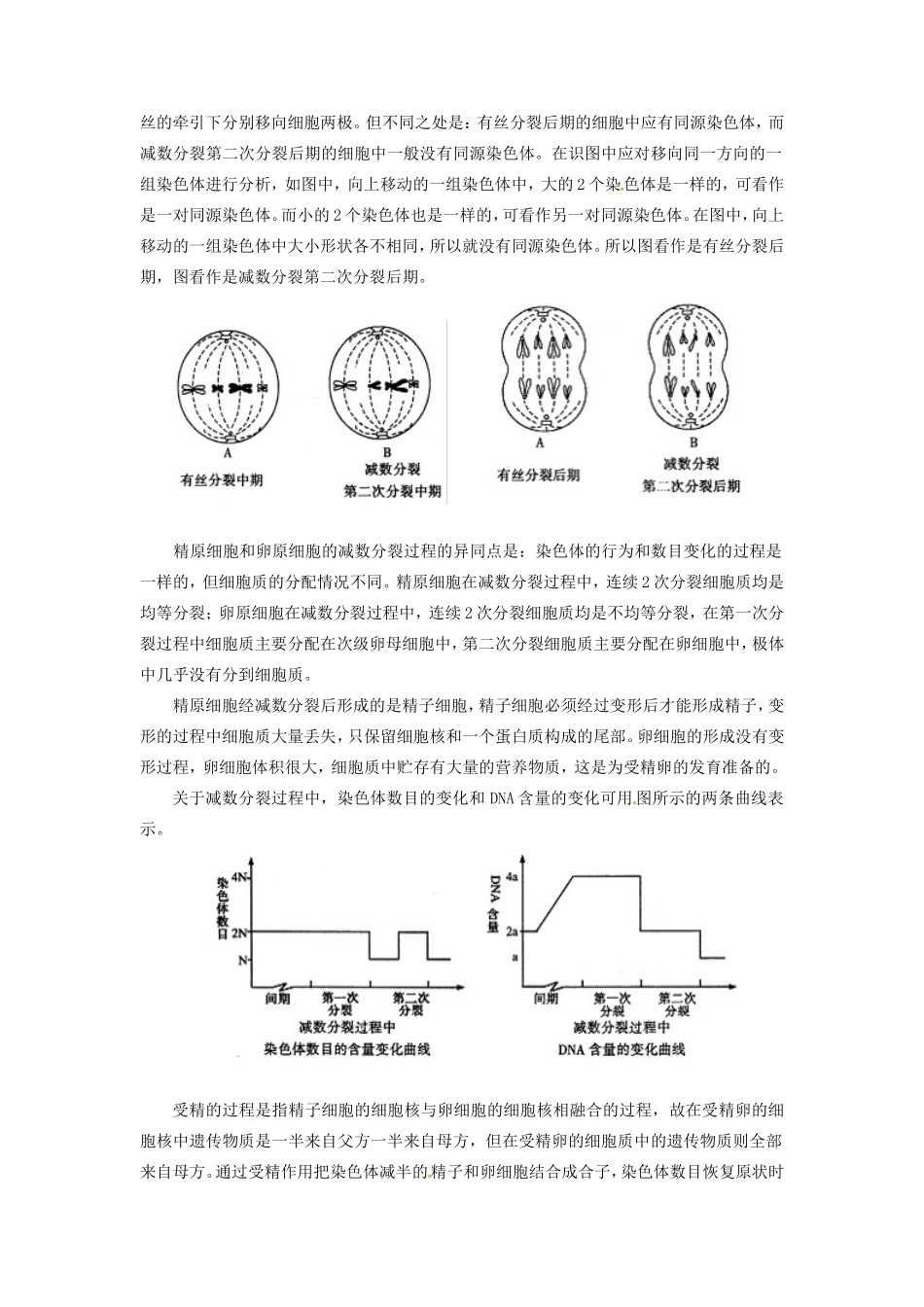 2013-2014学年高一生物下学期 第二章 第一节 减数分裂和受精作用2教案 新人教版_第3页