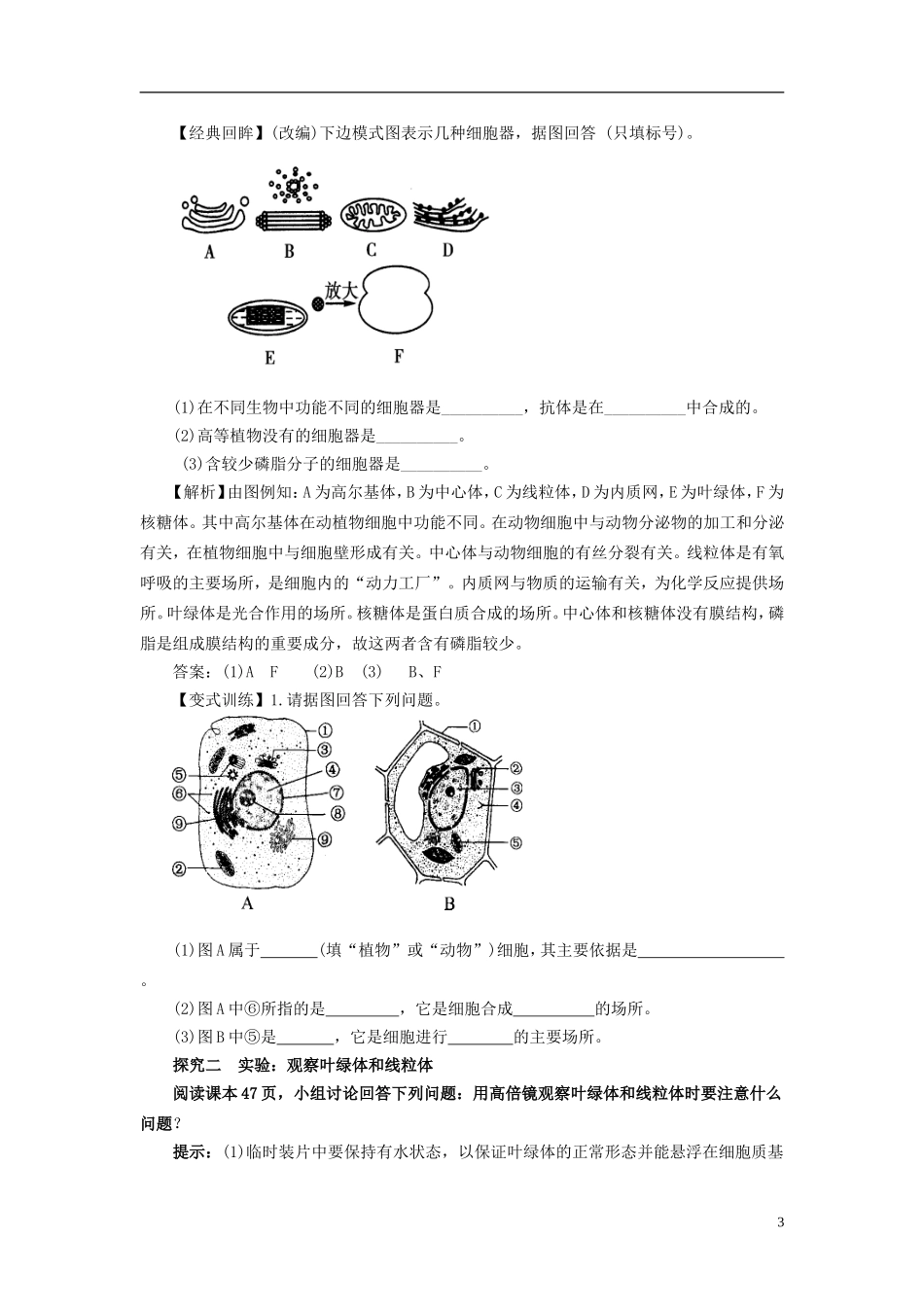 2013-2014学年高中生物 3.2 细胞器 系统内的分工合作1导学案 新人教版必修1_第3页