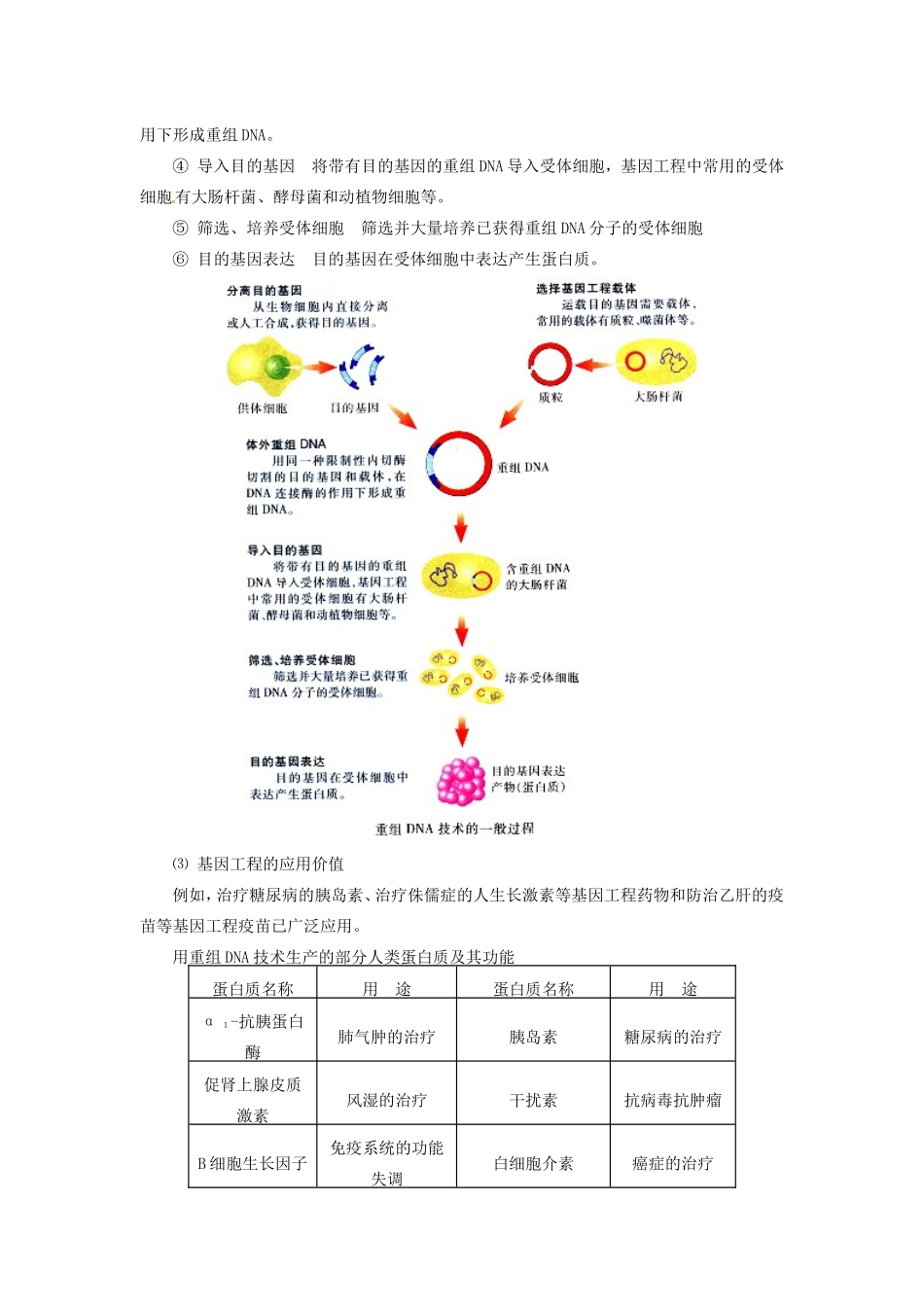 2013-2014学年高一生物下学期 第五章 第一节 基因突变与基因重组2教案 新人教版_第2页