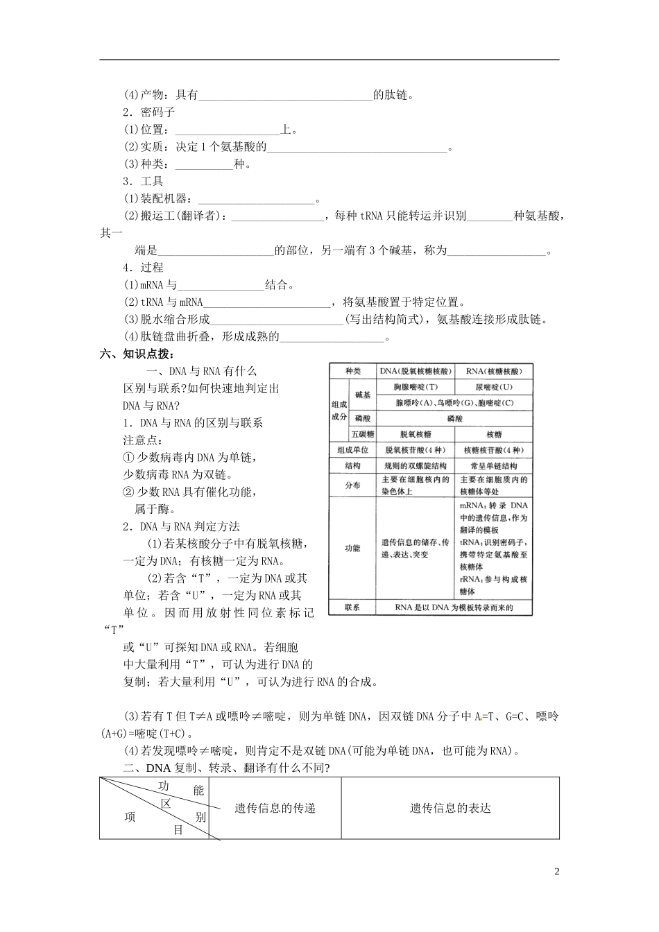 2013-2014学年高中生物 4.1 基因指导蛋白学案1 新人教版必修2_第2页
