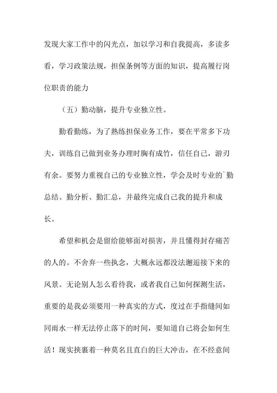 担保企业工作计划_第3页