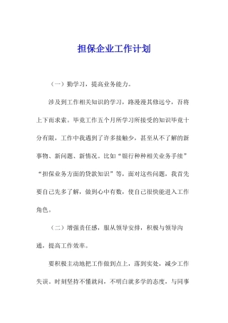 担保企业工作计划