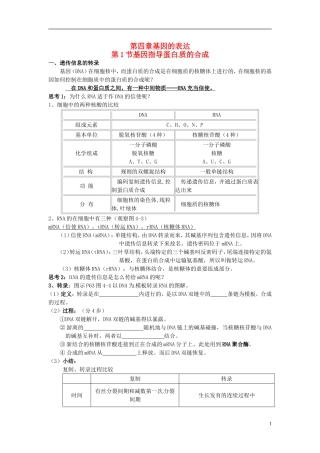 2013-2014学年高中生物 4.1 基因指导蛋白学案2 新人教版必修2