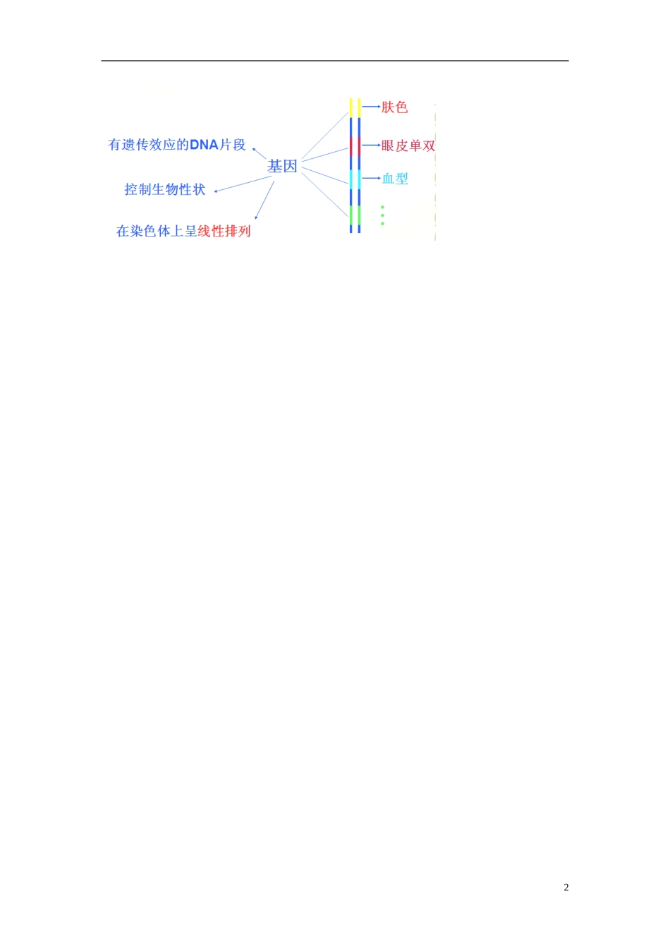 2013-2014学年高中生物 4.2 基因对性状的控制教材分析与导入设计 新人教版必修2_第2页