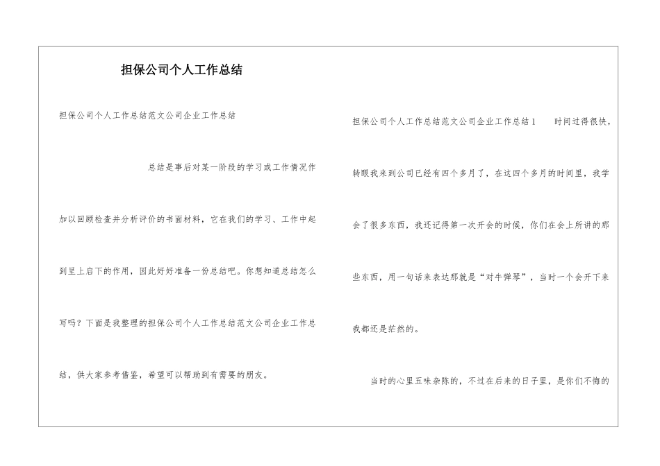 担保公司个人工作总结_第1页