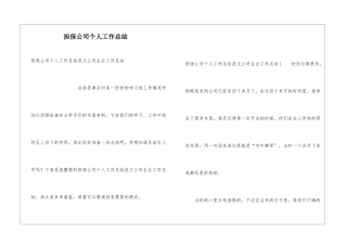 担保公司个人工作总结