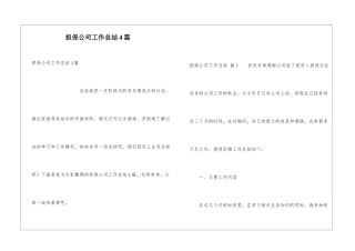 担保公司工作总结4篇
