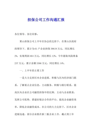 担保公司工作交流汇报