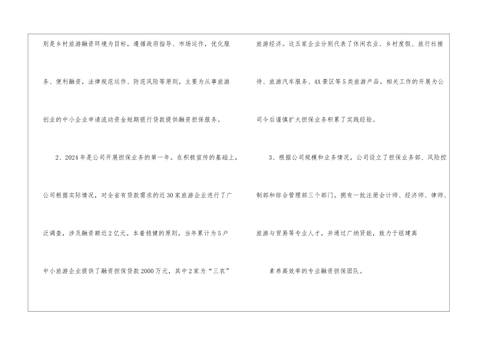担保公司的年终工作总结_第2页