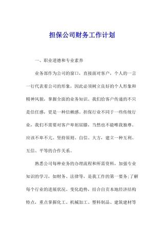 担保公司财务工作计划