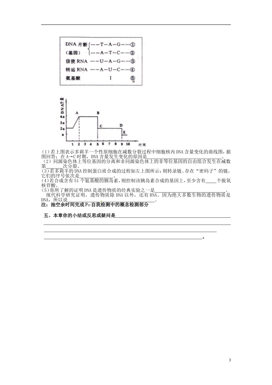 2013-2014学年高中生物 4.2 基因对性状的控制学案2 新人教版必修2_第3页