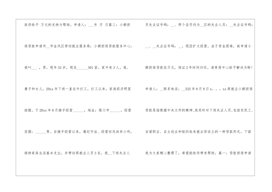 担保贷款申请书_第3页
