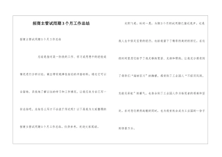招商主管试用期3个月工作总结