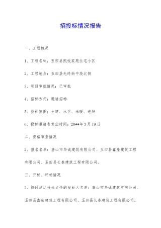 招投标情况报告-