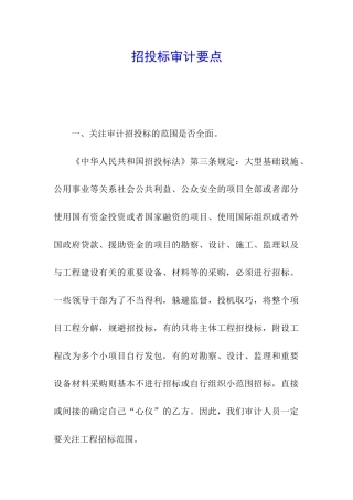 招投标审计要点