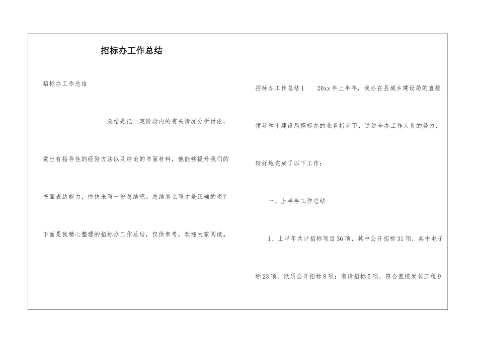 招标办工作总结_第1页